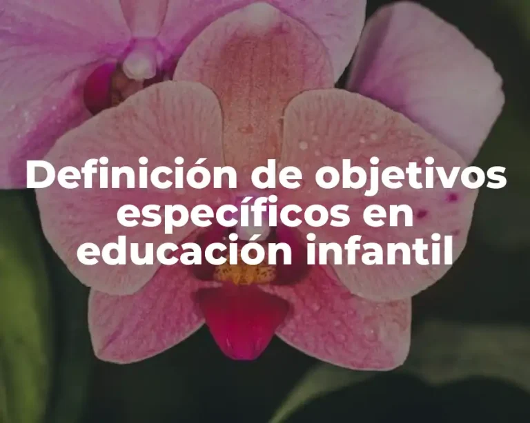 Definición de objetivos específicos en educación infantil