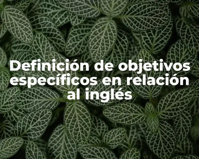 Definición de objetivos específicos en relación al inglés