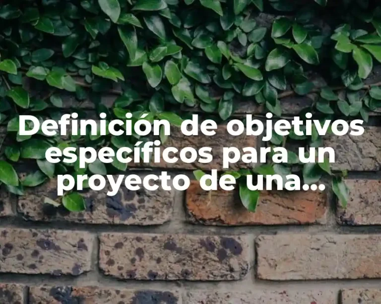 Definición de objetivos específicos para un proyecto de una empresa