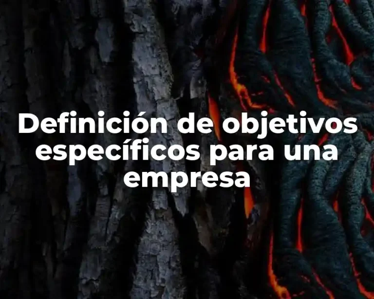 Definición de objetivos específicos para una empresa
