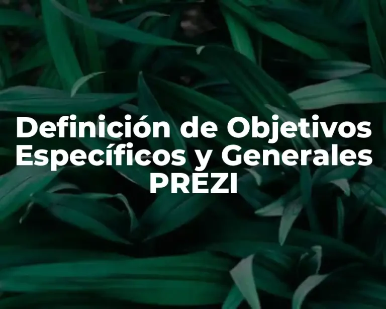 Definición de Objetivos Específicos y Generales PREZI