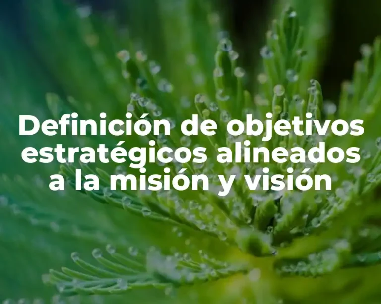 Definición de objetivos estratégicos alineados a la misión y visión