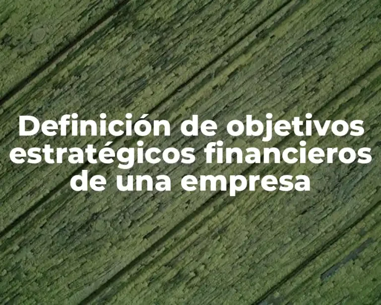 Definición de objetivos estratégicos financieros de una empresa