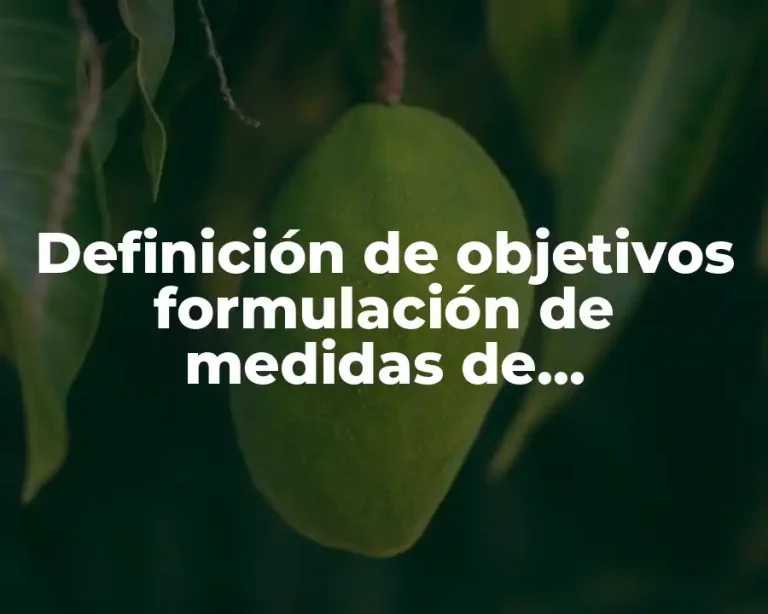 Definición de objetivos formulación de medidas de oportunidad