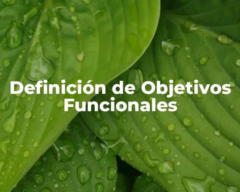 Definición de Objetivos Funcionales