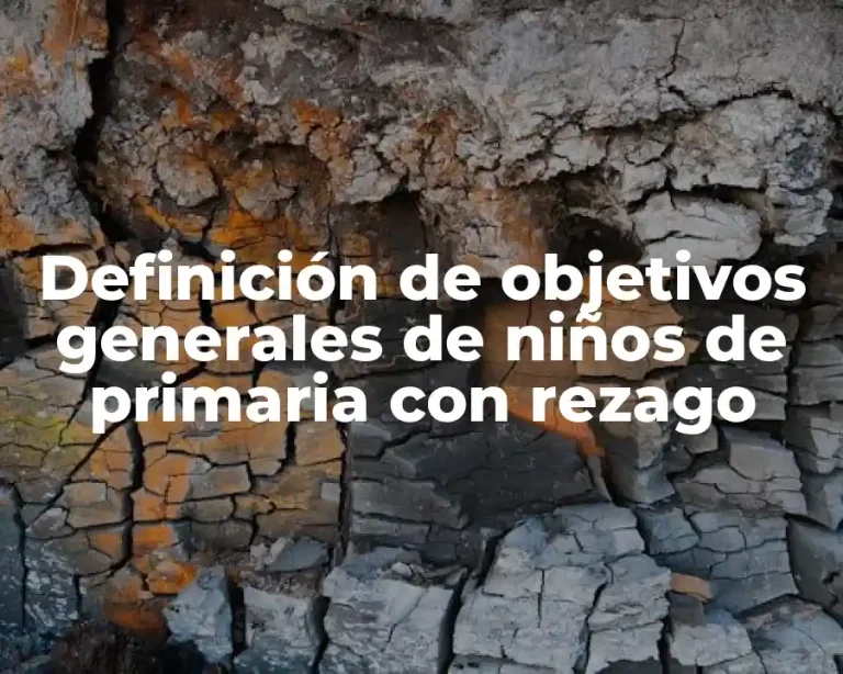 Definición de objetivos generales de niños de primaria con rezago