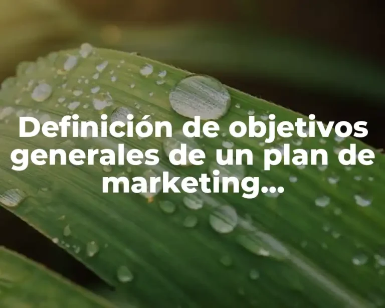 Definición de objetivos generales de un plan de marketing internacional