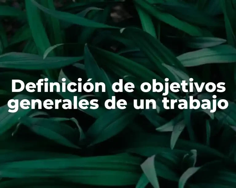Definición de objetivos generales de un trabajo