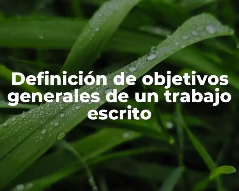 Definición de objetivos generales de un trabajo escrito