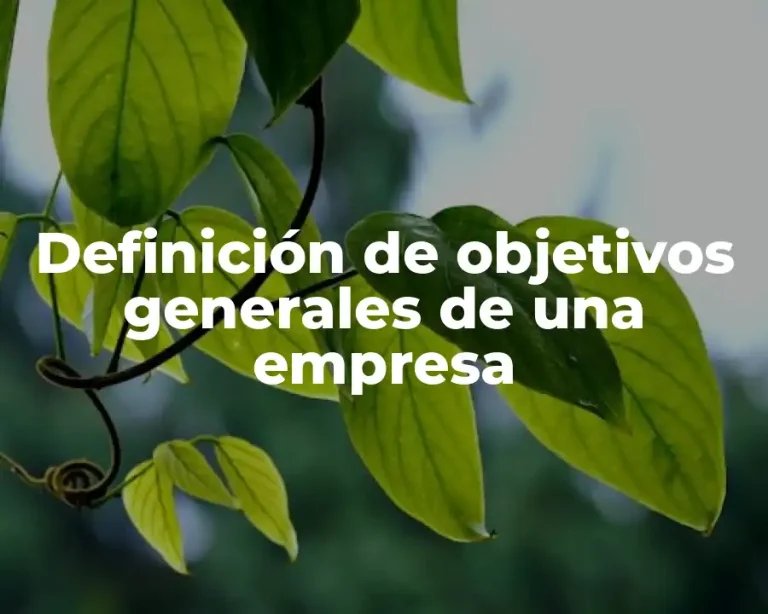 Definición de objetivos generales de una empresa