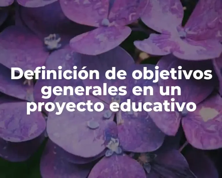 Definición de objetivos generales en un proyecto educativo