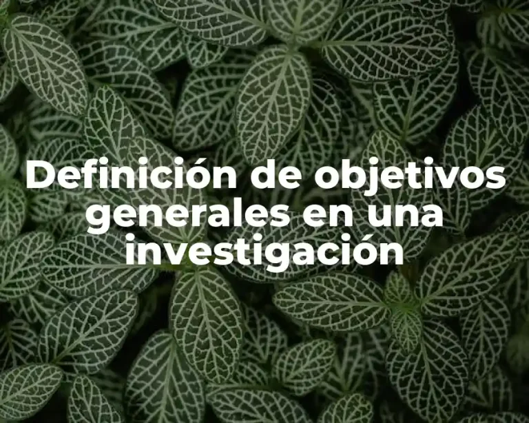 Definición de objetivos generales en una investigación