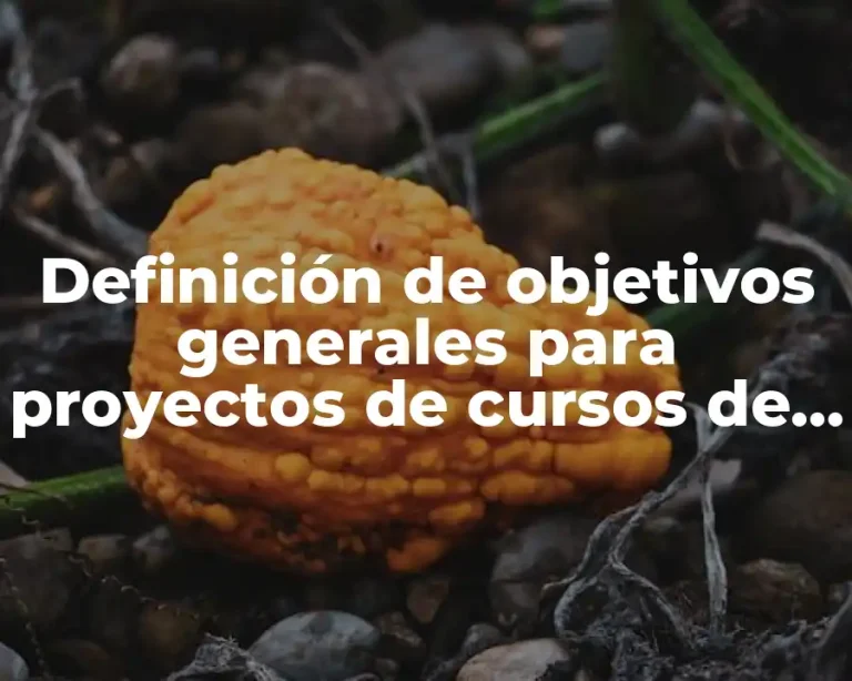 Definición de objetivos generales para proyectos de cursos de exportación