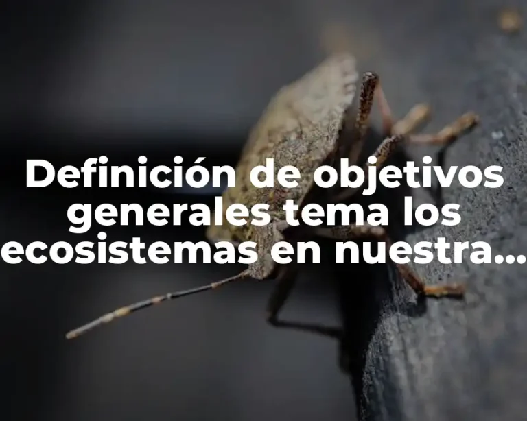 Definición de objetivos generales tema los ecosistemas en nuestra comunidad