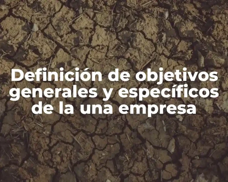 Definición de objetivos generales y específicos de la una empresa