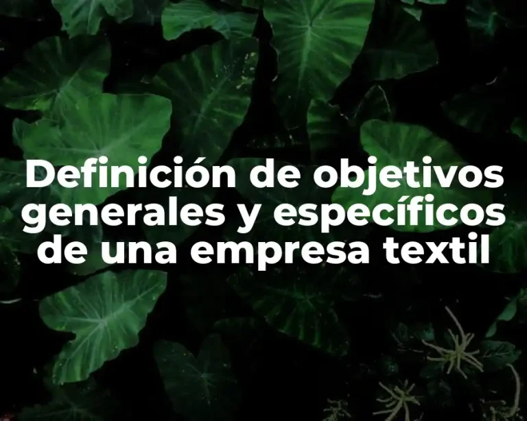 Definición de objetivos generales y específicos de una empresa textil