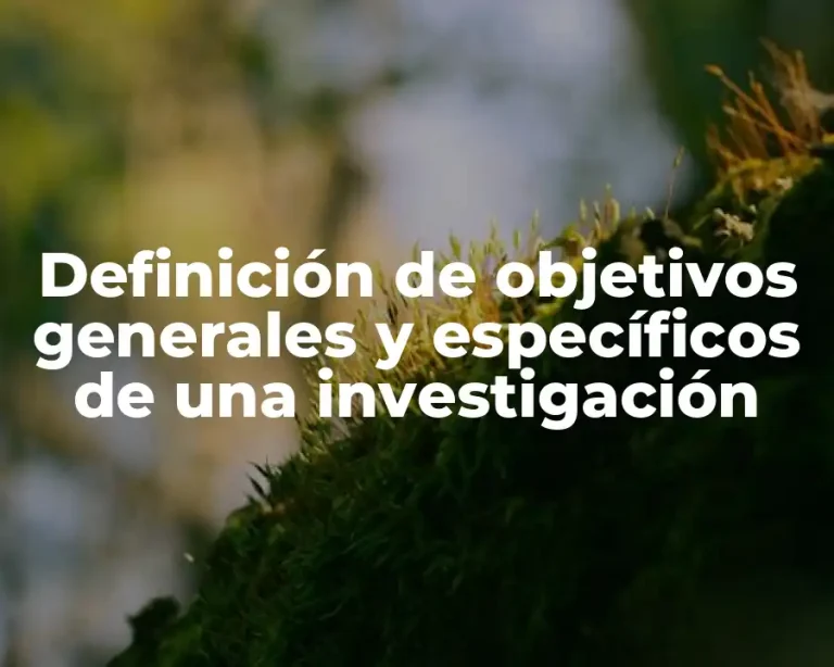 Definición de objetivos generales y específicos de una investigación