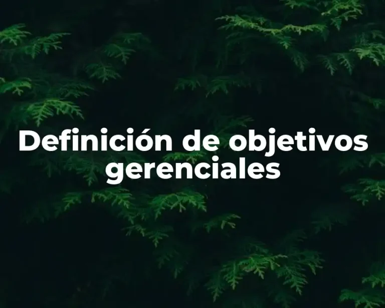 Definición de objetivos gerenciales