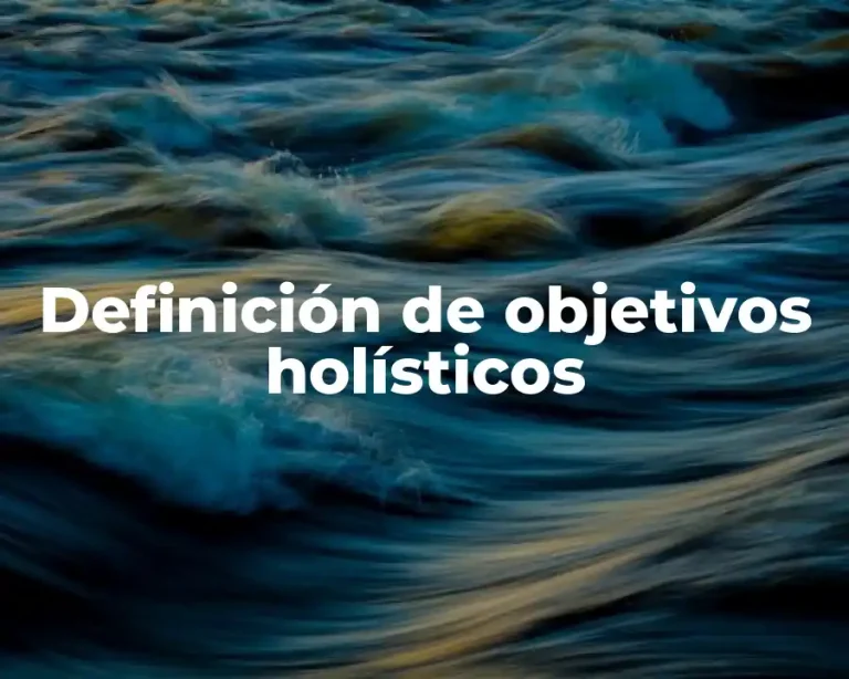 Definición de objetivos holísticos