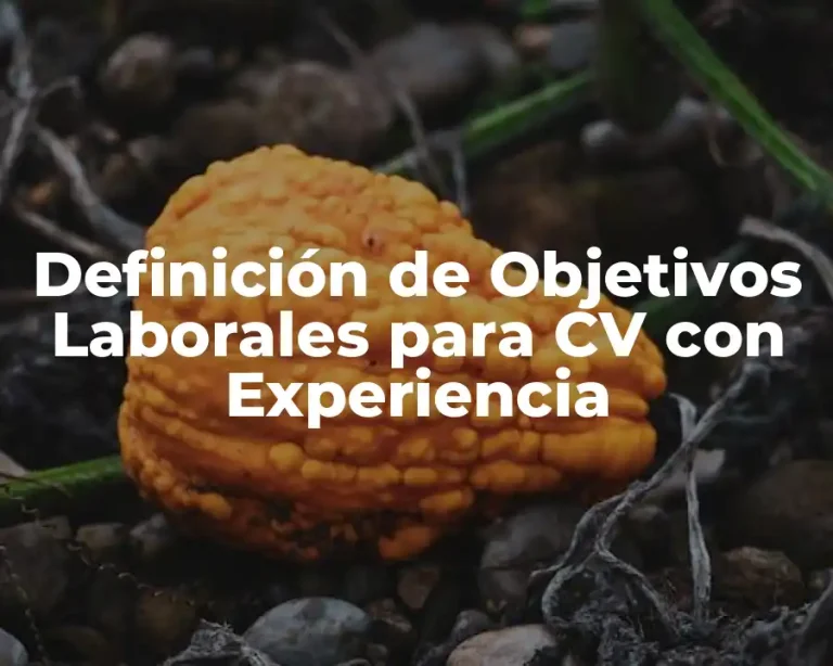 Definición de Objetivos Laborales para CV con Experiencia