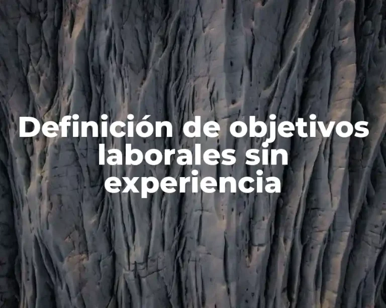 Definición de objetivos laborales sin experiencia