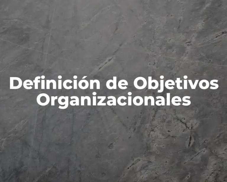 Definición de Objetivos Organizacionales