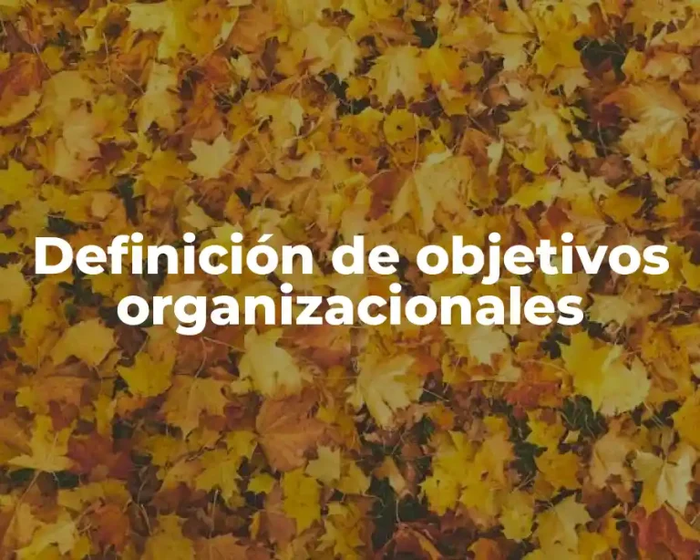 Definición de objetivos organizacionales