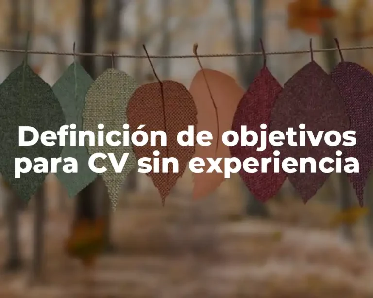 Definición de objetivos para CV sin experiencia