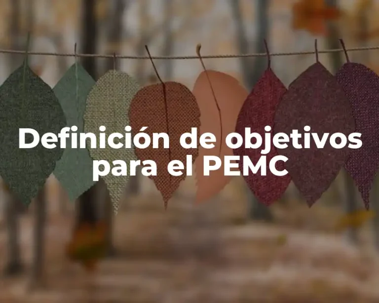 Definición de objetivos para el PEMC