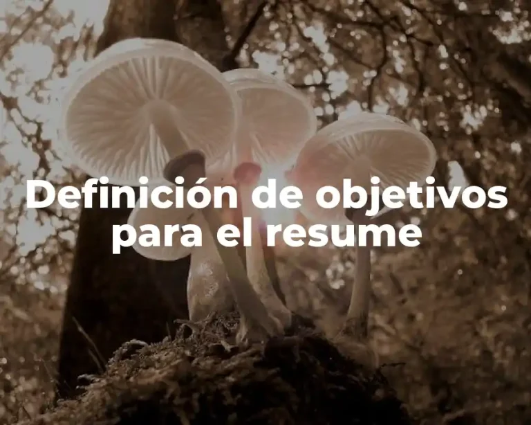 Definición de objetivos para el resume