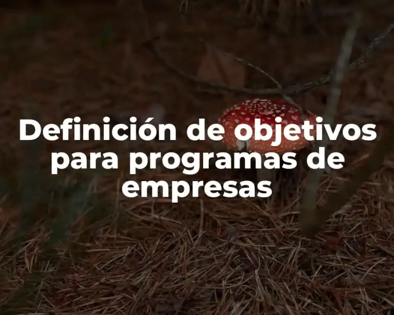 Definición de objetivos para programas de empresas