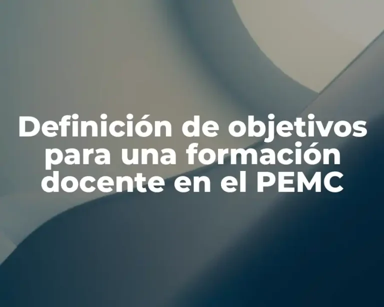 Definición de objetivos para una formación docente en el PEMC