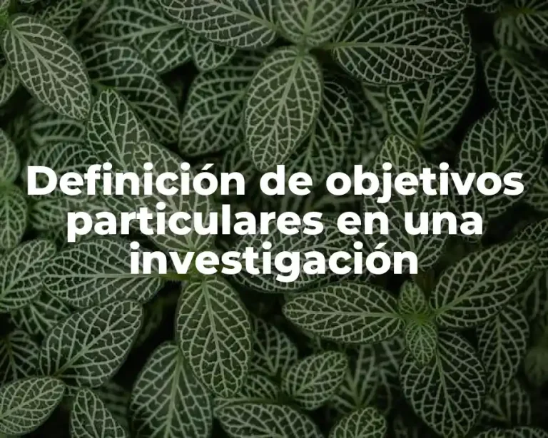 Definición de objetivos particulares en una investigación