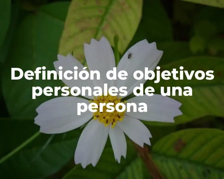 Definición de objetivos personales de una persona
