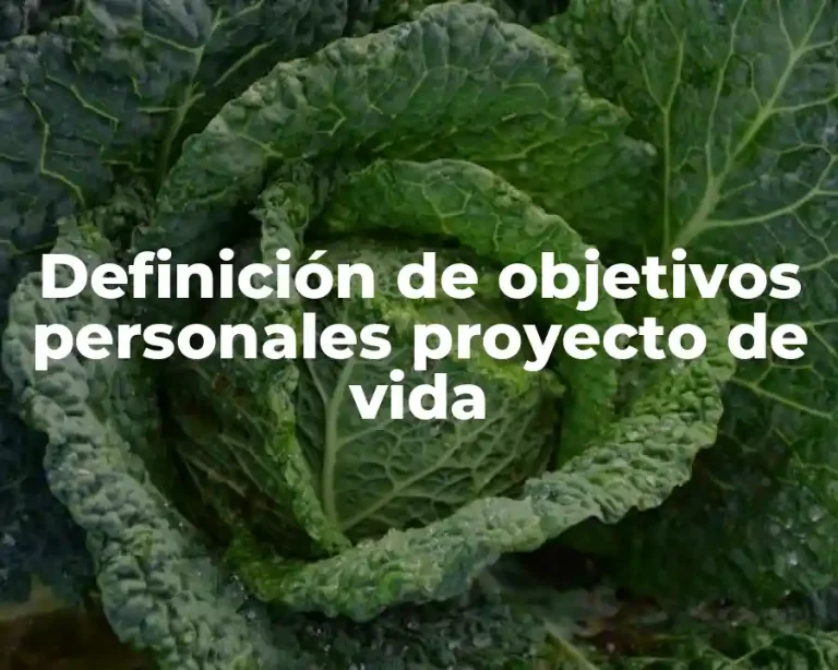 Definición de objetivos personales proyecto de vida
