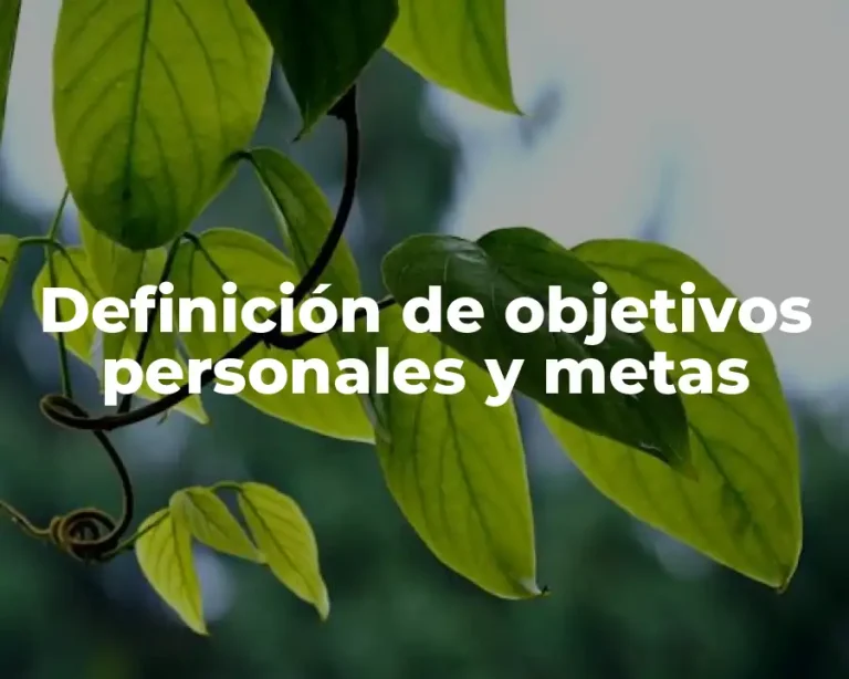 Definición de objetivos personales y metas