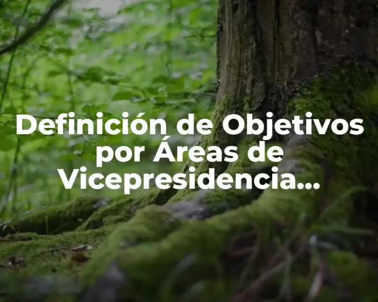Definición de Objetivos por Áreas de Vicepresidencia Producción