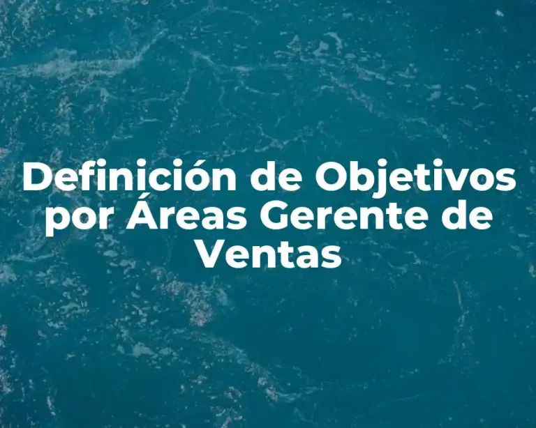 Definición de Objetivos por Áreas Gerente de Ventas