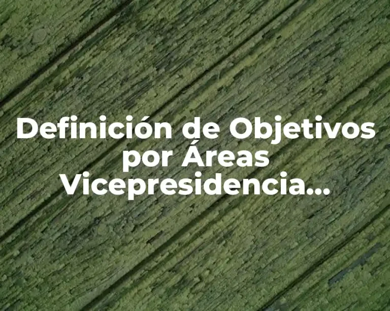 Definición de Objetivos por Áreas Vicepresidencia Marketing