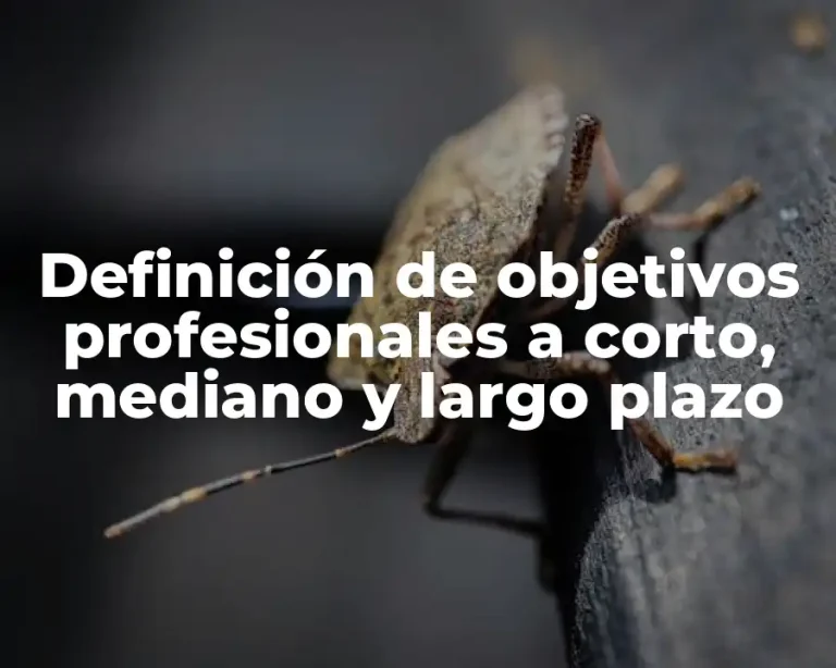 Definición de objetivos profesionales a corto, mediano y largo plazo