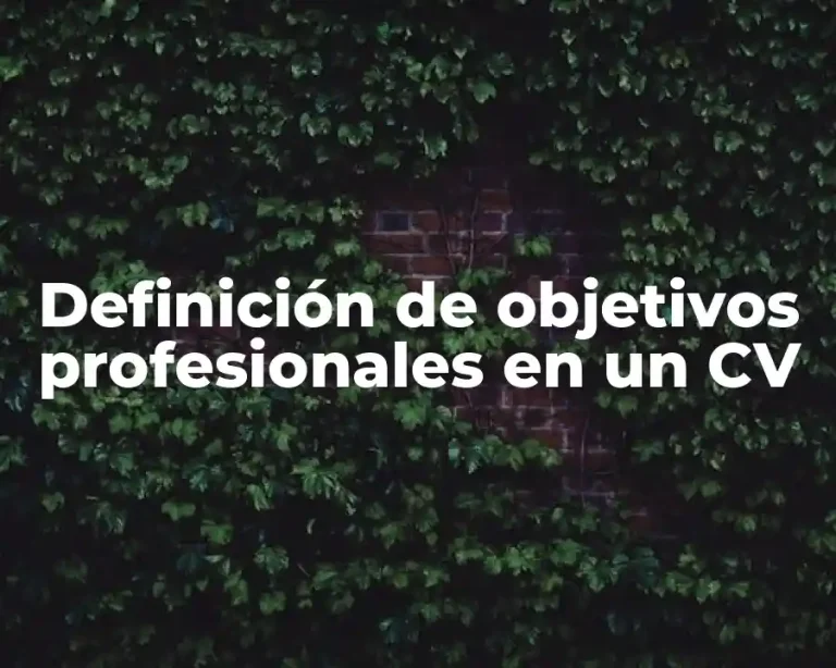 Definición de objetivos profesionales en un CV