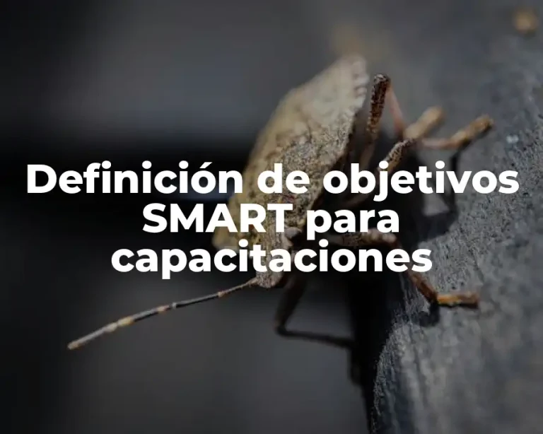 Definición de objetivos SMART para capacitaciones