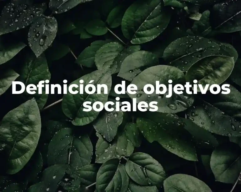 Definición de objetivos sociales