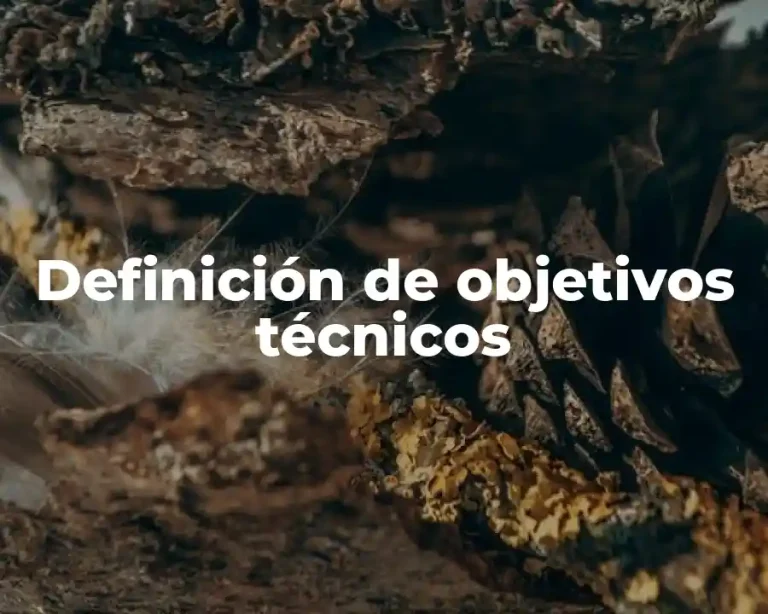 Definición de objetivos técnicos