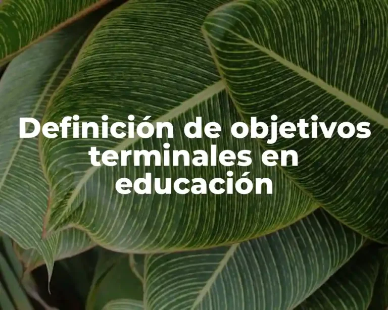 Definición de objetivos terminales en educación