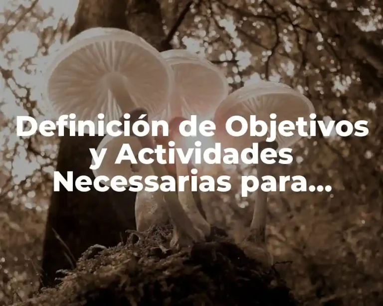 Definición de Objetivos y Actividades Necessarias para Lograrlos