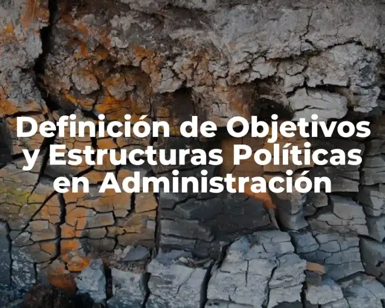 Definición de Objetivos y Estructuras Políticas en Administración