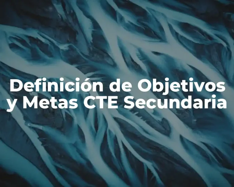 Definición de Objetivos y Metas CTE Secundaria