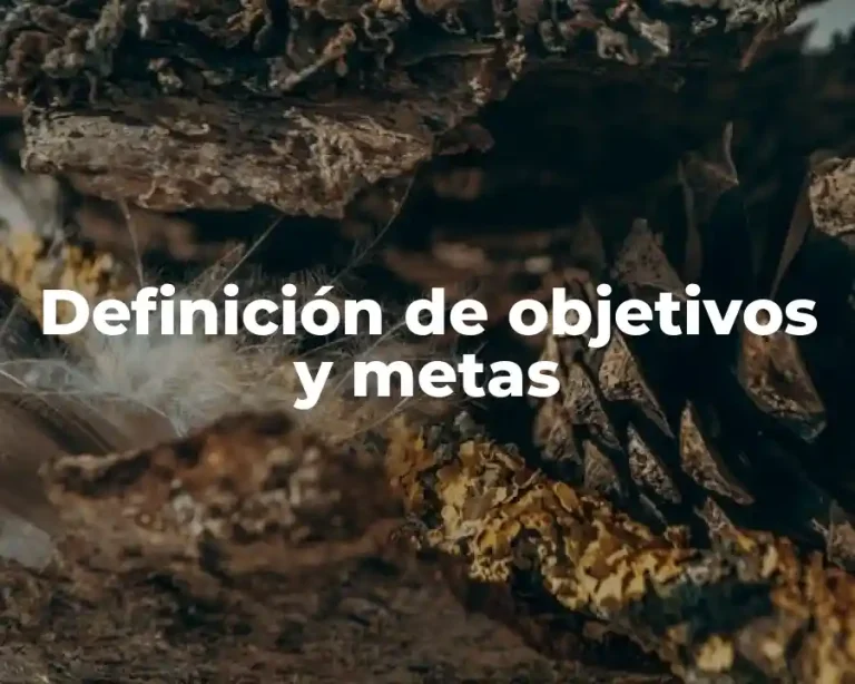 Definición de objetivos y metas