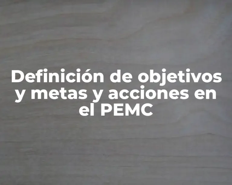 Definición de objetivos y metas y acciones en el PEMC